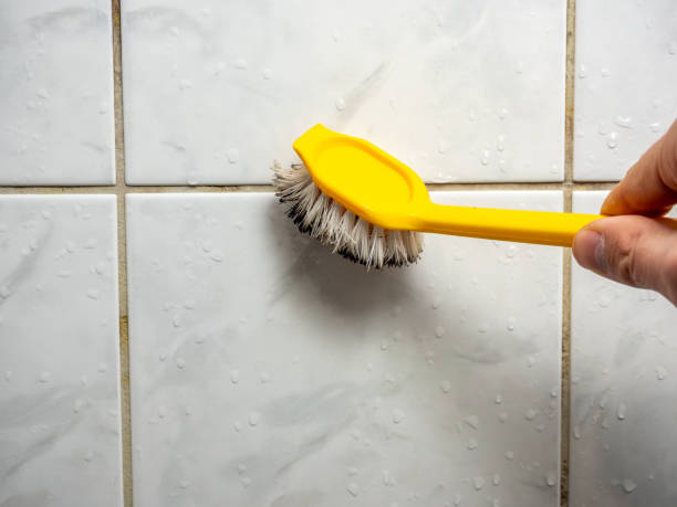 Best Bathroom Mold Remediation in Double Springs, AL