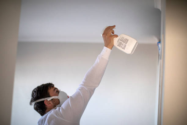 Best Basement Mold Remediation in Double Springs, AL