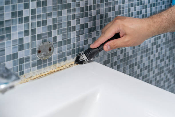Best Mold Testing and Inspection Services in Double Springs, AL
